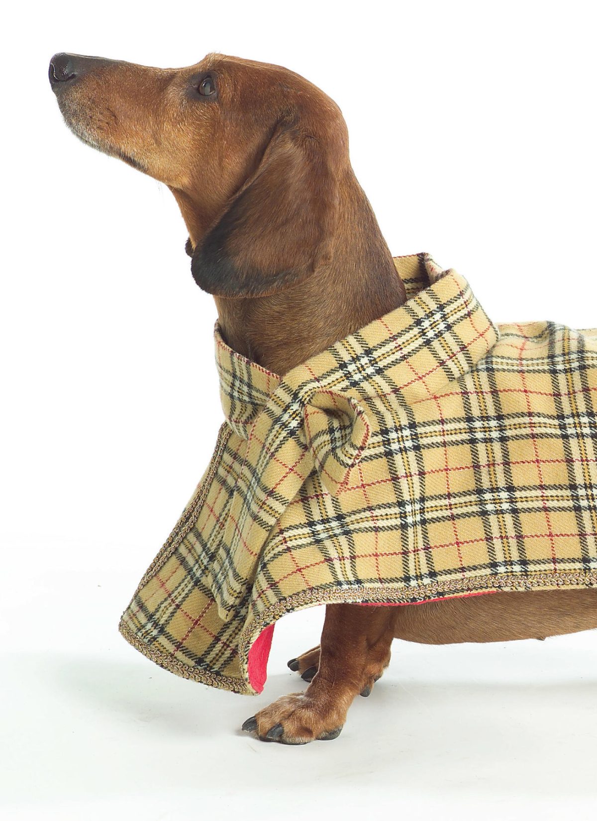 Butterick Sewing Pattern B4885 Dog Coats in Four Styles Sewdirect