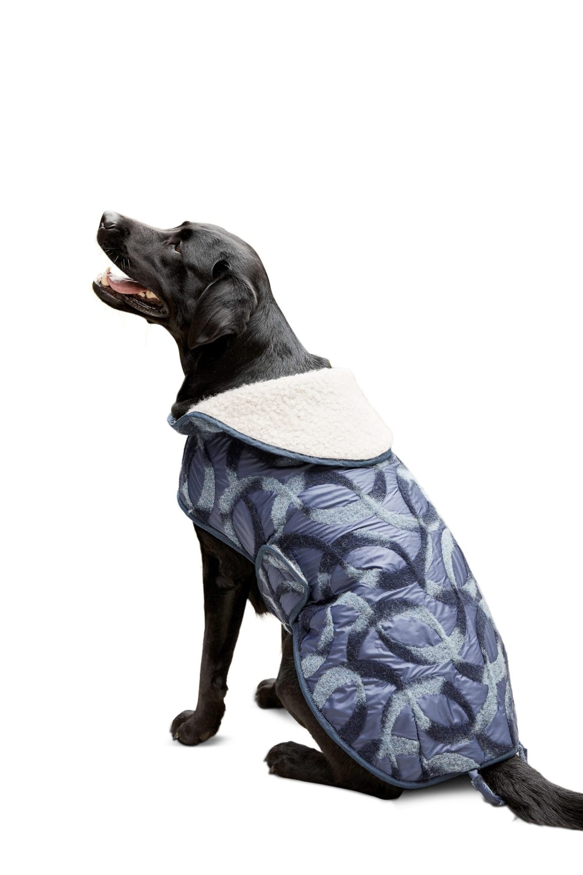 Burda Style Pattern 6049 Dog Coats