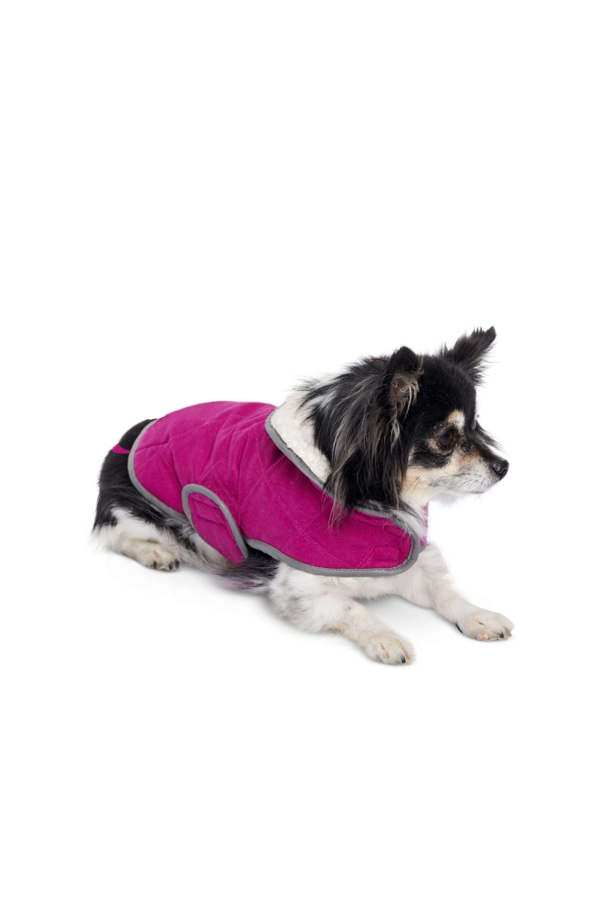 Burda Style Pattern 6049 Dog Coats