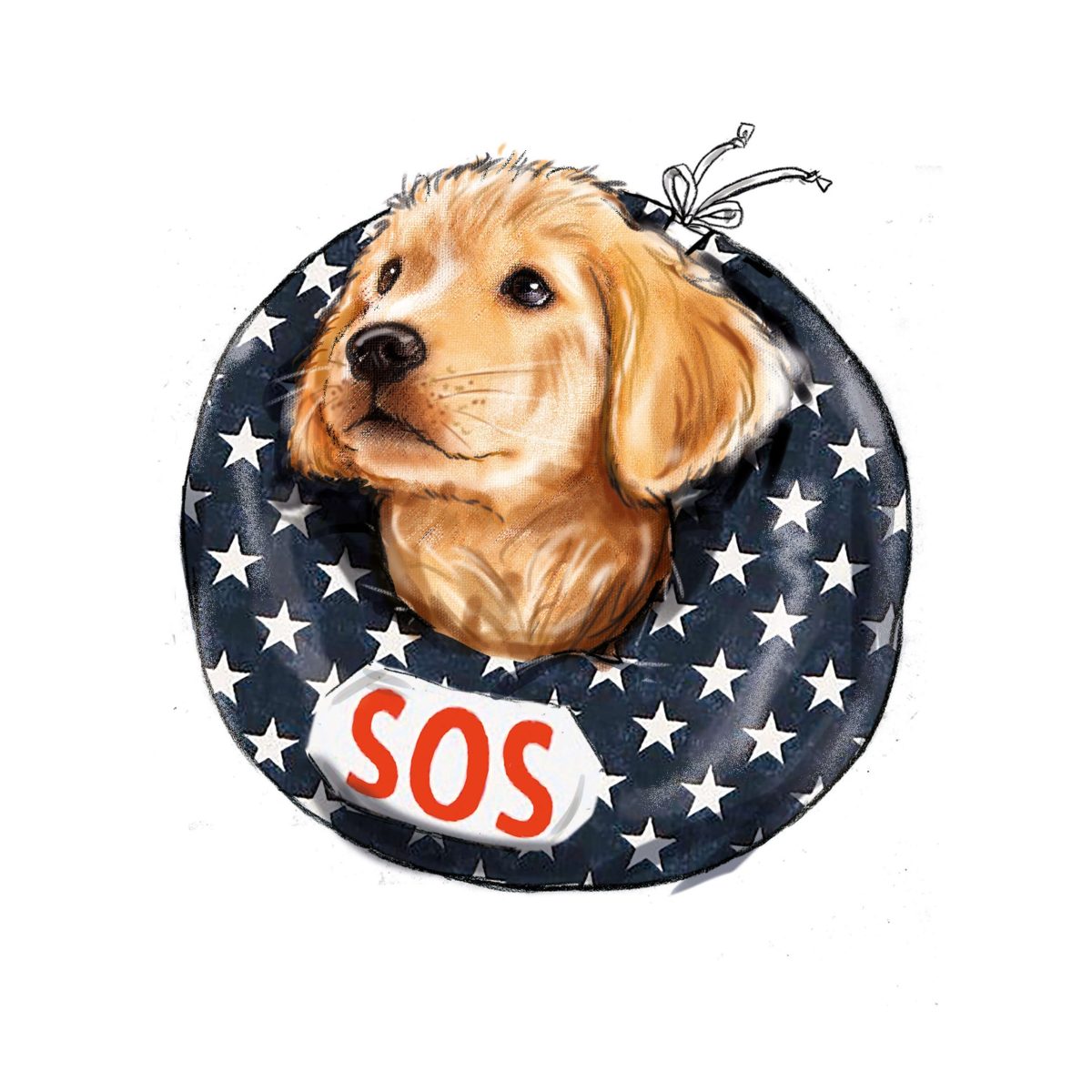 Simplicity Sewing Pattern S9582 Pet Elizabethan Collars by Carla Reiss