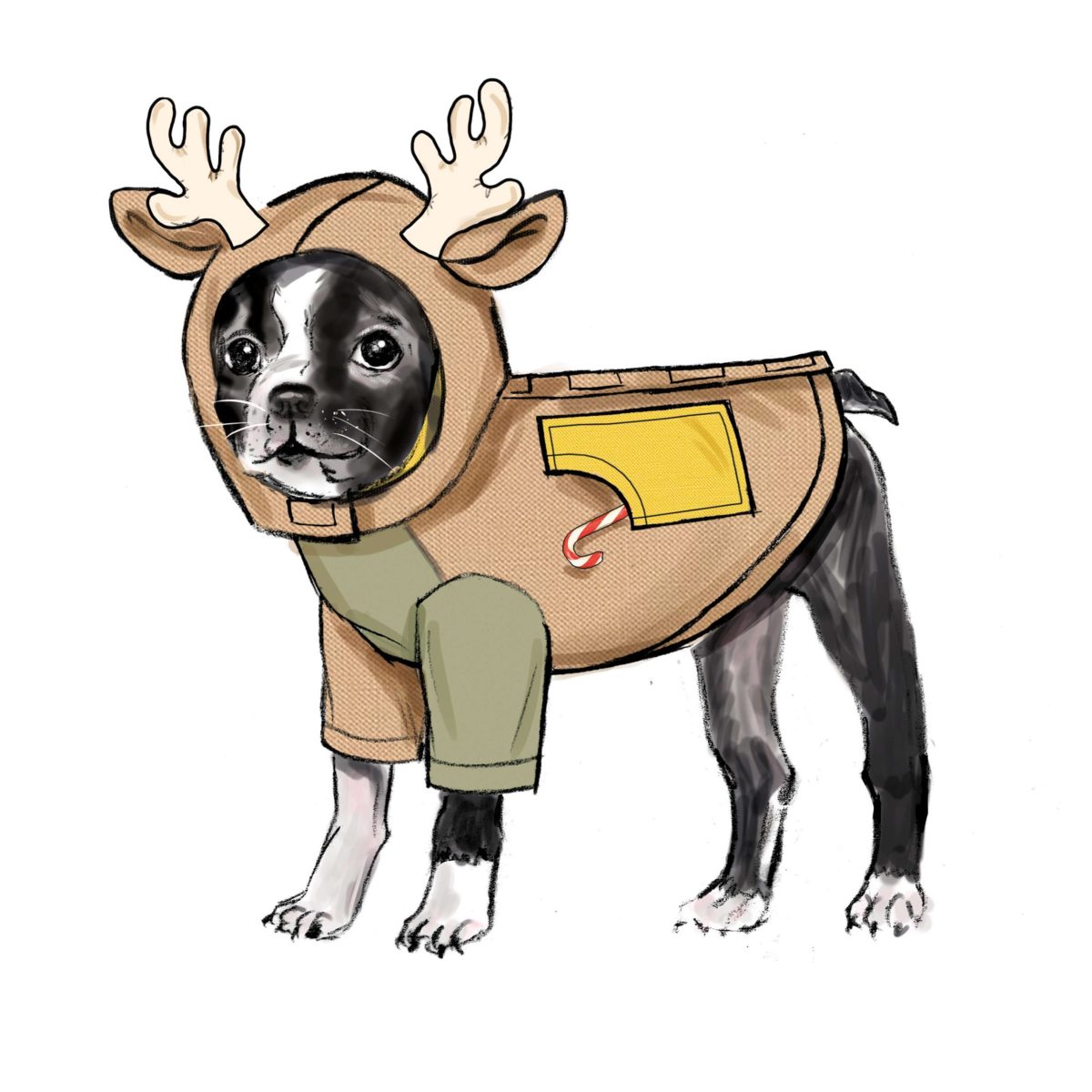 Simplicity Sewing Pattern S9663 Pet Coats with Optional Hoods and Cowls in Sizes S-M-L and Adult Cowl