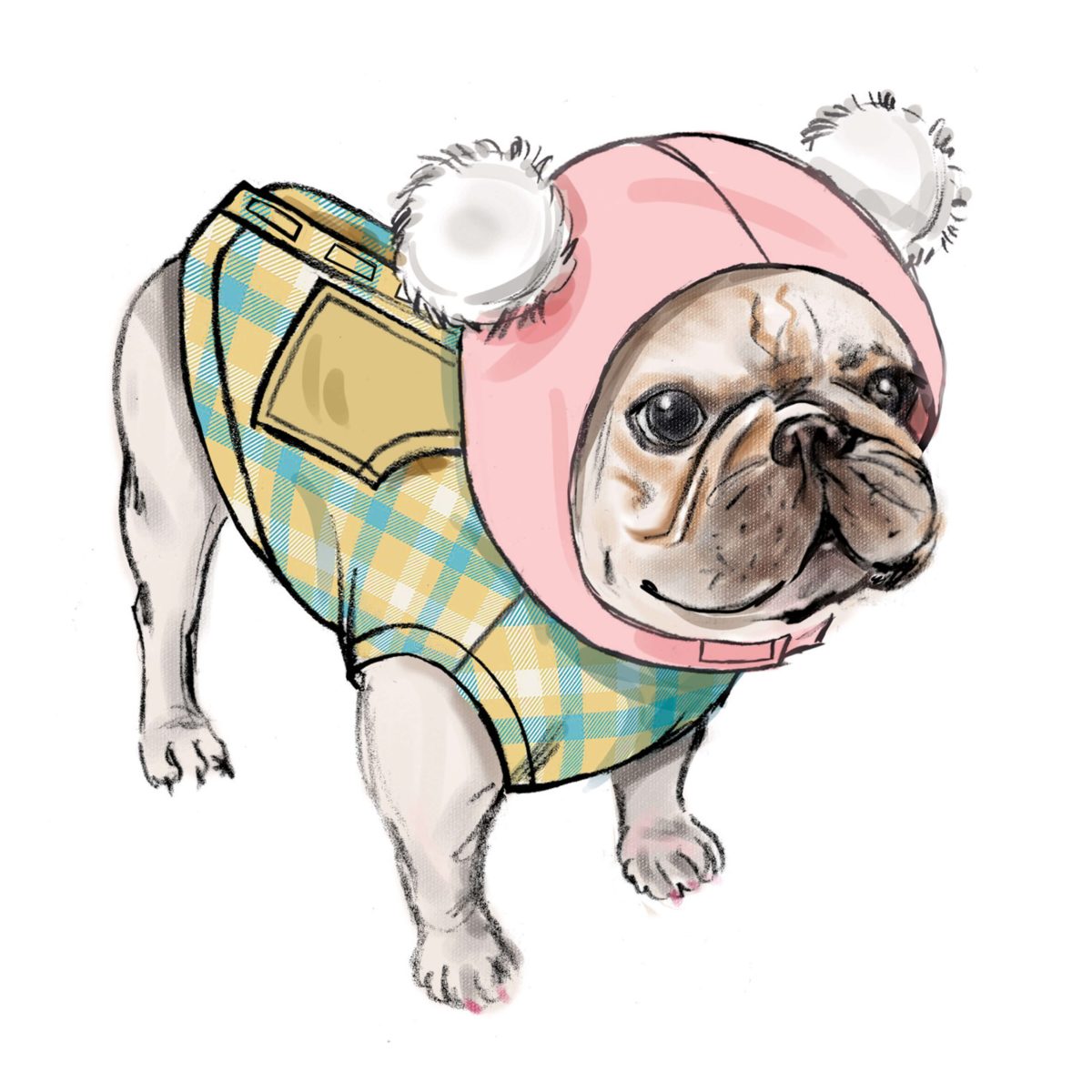 Simplicity Sewing Pattern S9663 Pet Coats with Optional Hoods and Cowls in Sizes S-M-L and Adult Cowl