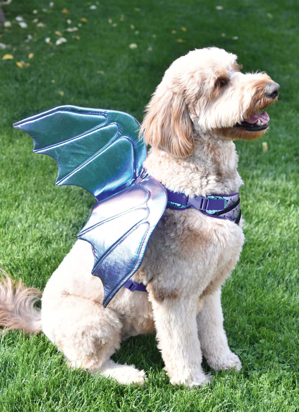 Simplicity Sewing Pattern S9875 Dog Harness with Wings by Carla Reiss Design