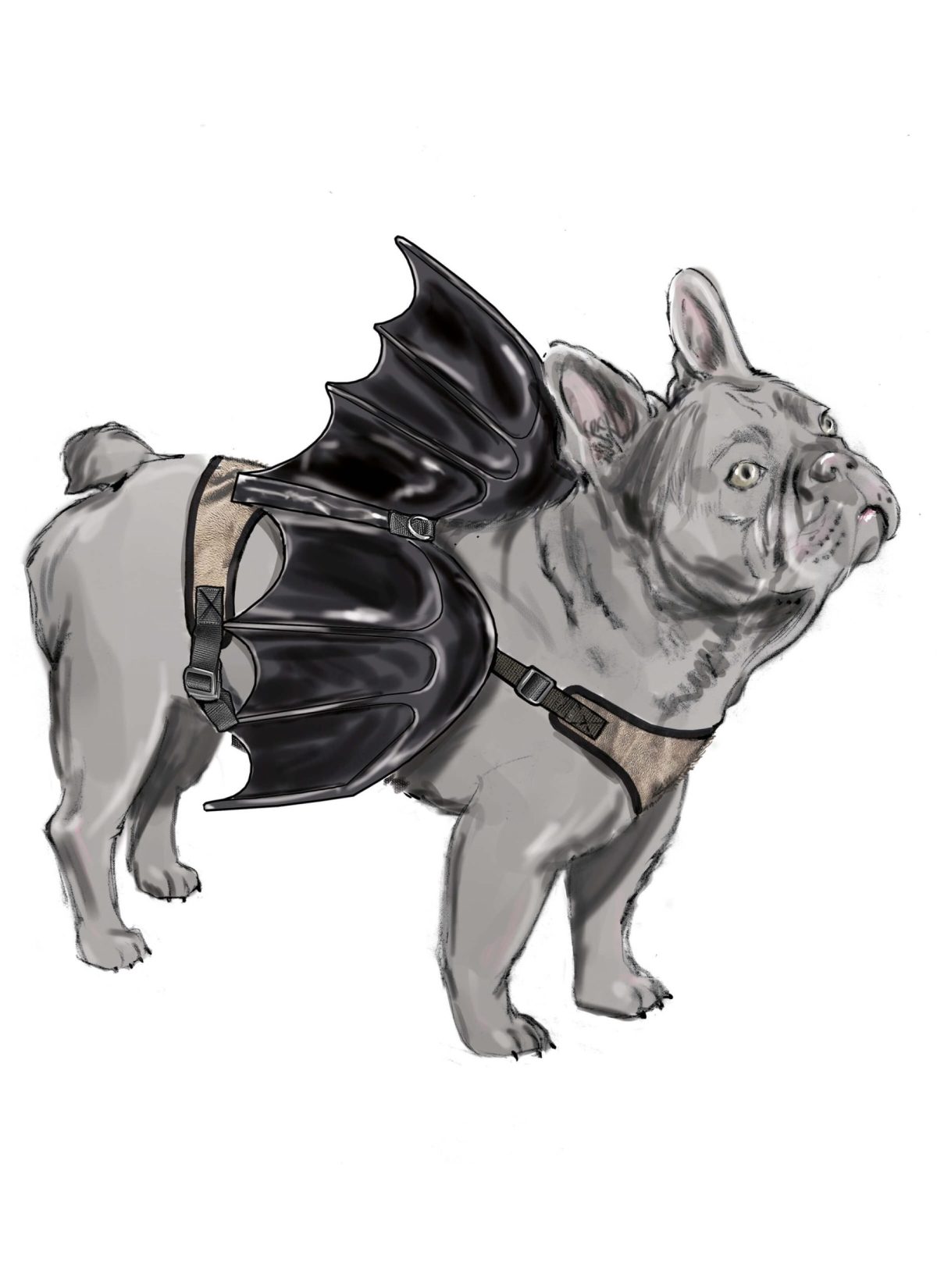 Simplicity Sewing Pattern S9875 Dog Harness with Wings by Carla Reiss Design