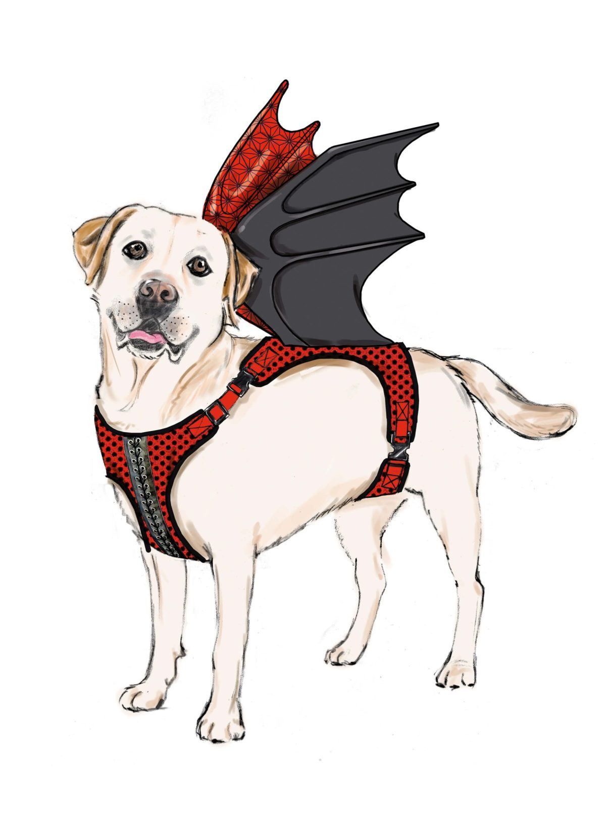 Simplicity Sewing Pattern S9875 Dog Harness with Wings by Carla Reiss Design