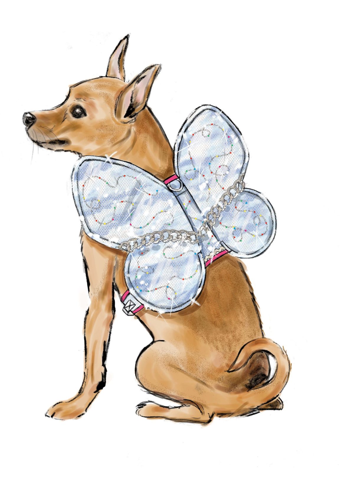 Simplicity Sewing Pattern S9875 Dog Harness with Wings by Carla Reiss Design