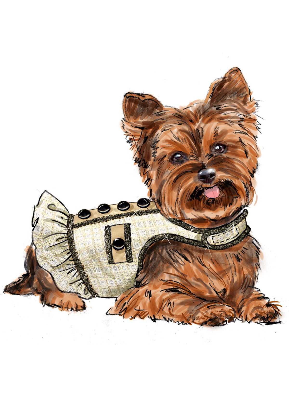 Simplicity Sewing Pattern S9970 Dog Coats