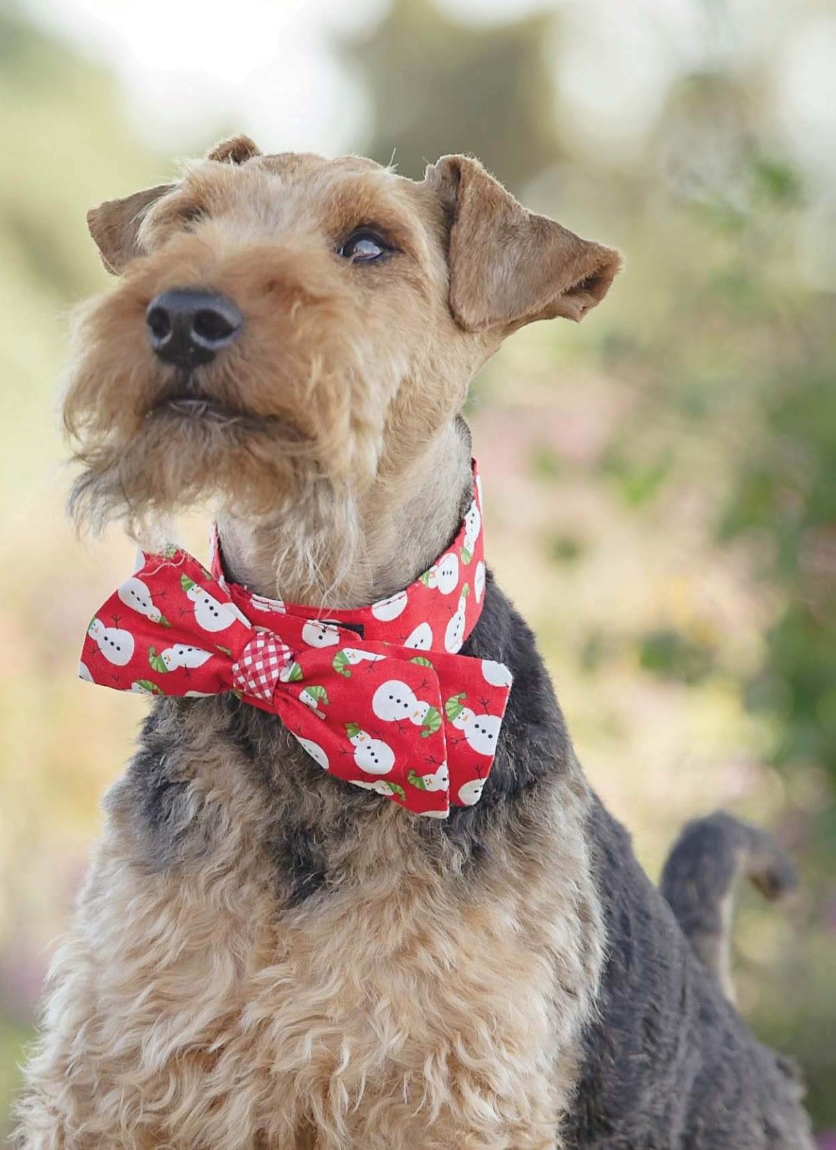 Simply Sewing Festive Dog Collars PDF Sewing Pattern